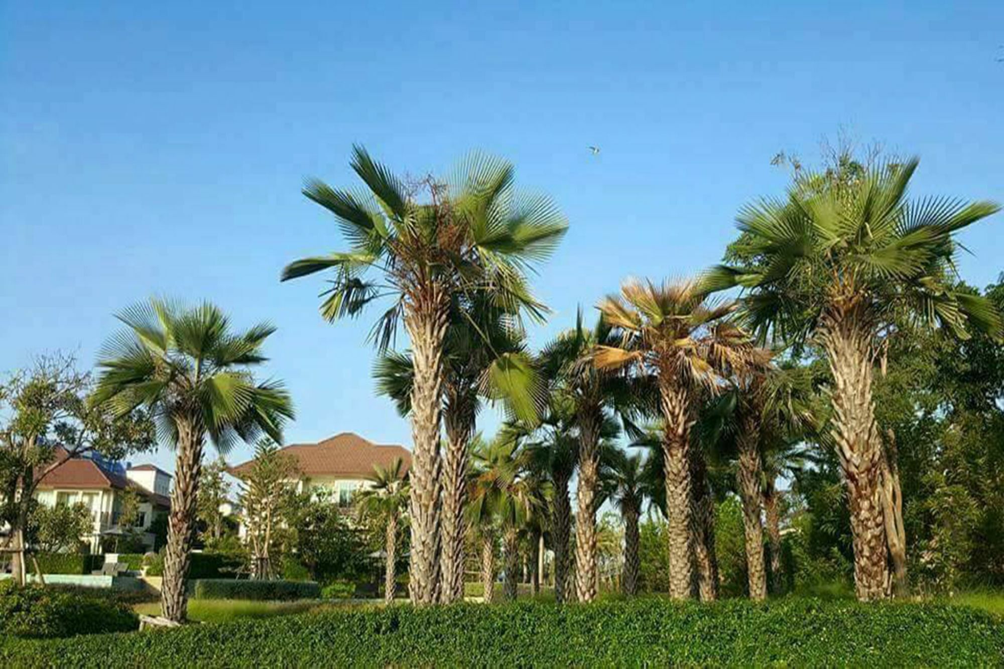 Panorama Sea View At Boulervard Cha-Am Bagian luar foto